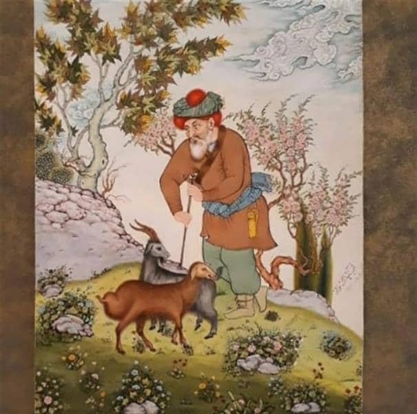 Shepherd